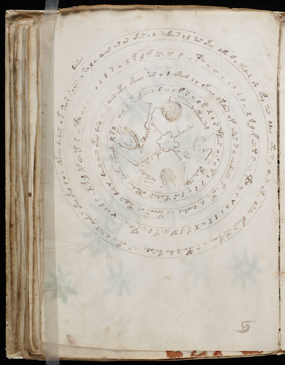 Voynich folio 57 verso, a concentric circular diagram with text following rings and radii.